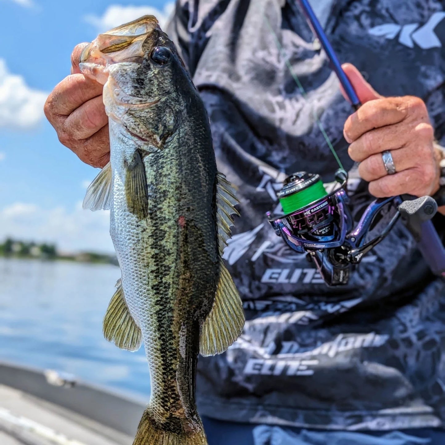 Royale Legend Pro Spinning Reels