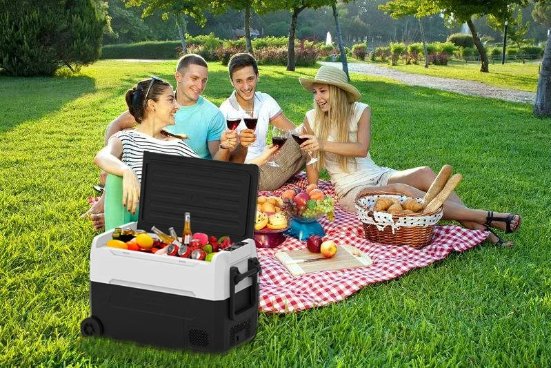 12V 35L 45L 55L ABS Mini RV Freezer Cooler 24V Ice Maker Compressor Dual-Zone for Car Truck Boat Camping