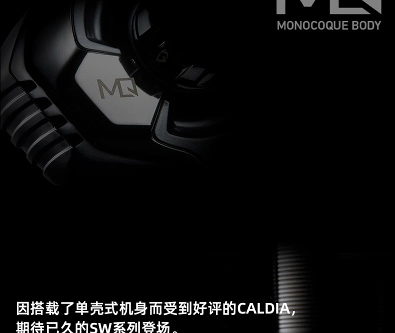 Daiwa Caldia SW