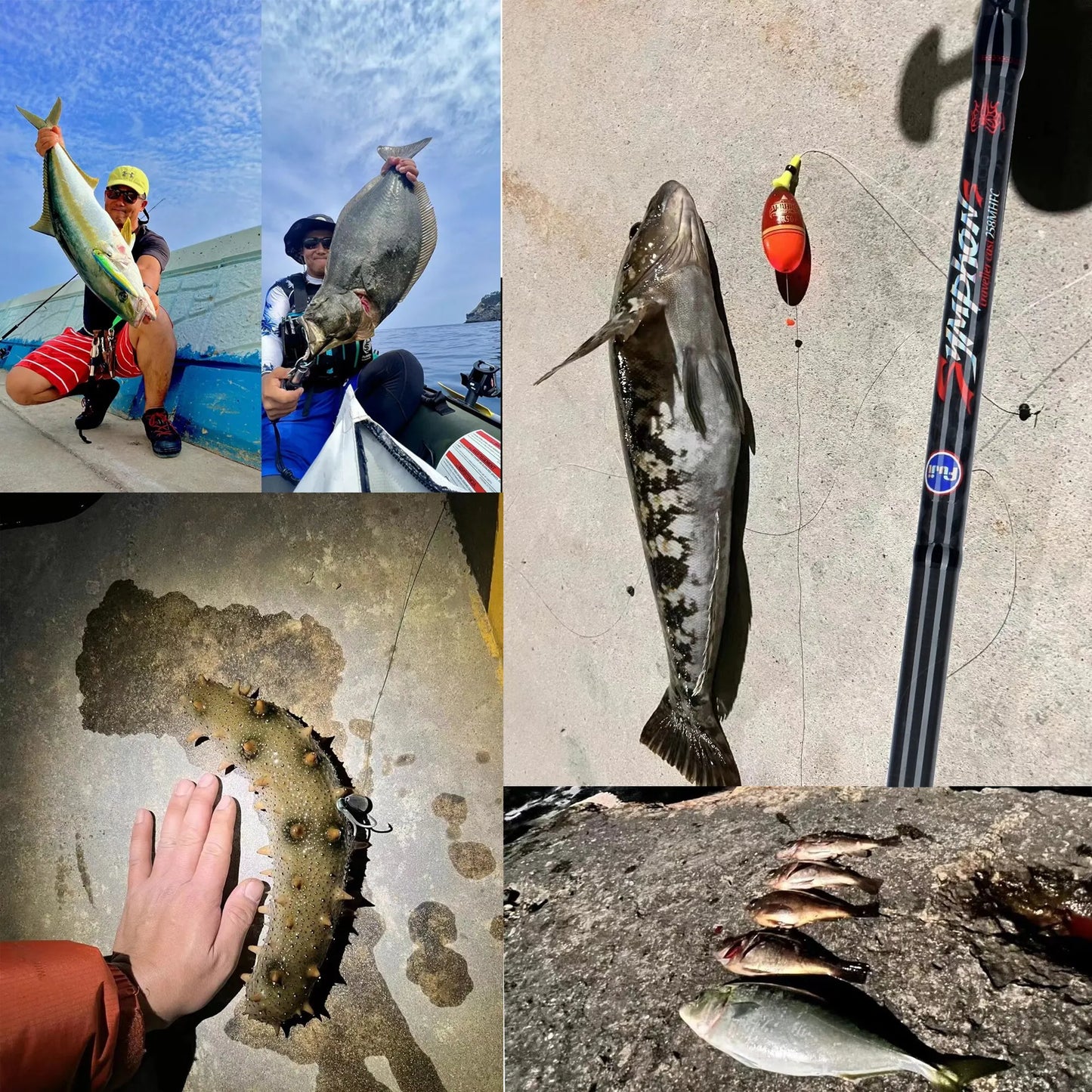 BIUTIFU Traveller Spinning/Casting Rod