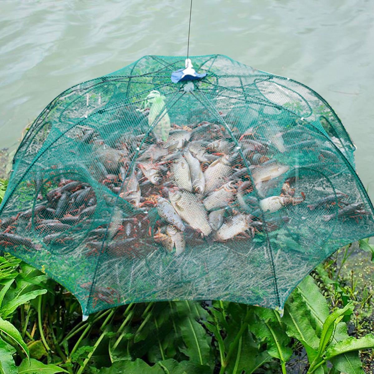 4-20 Hole Cast Net